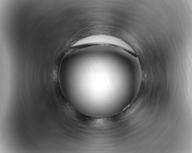 X0000095130382200712211335