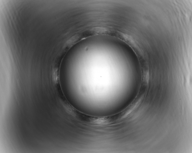 X0000095130383200712211335