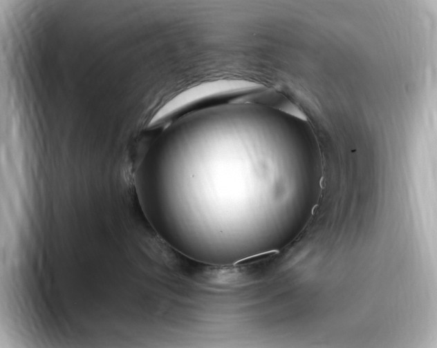 X0000095130384200712211335