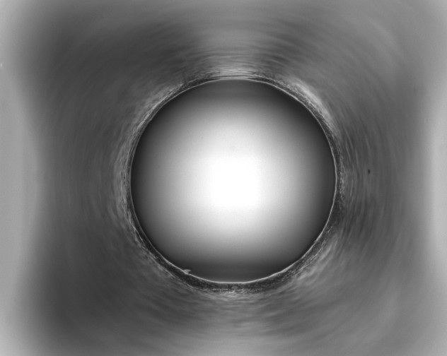 X0000095130385200712211334