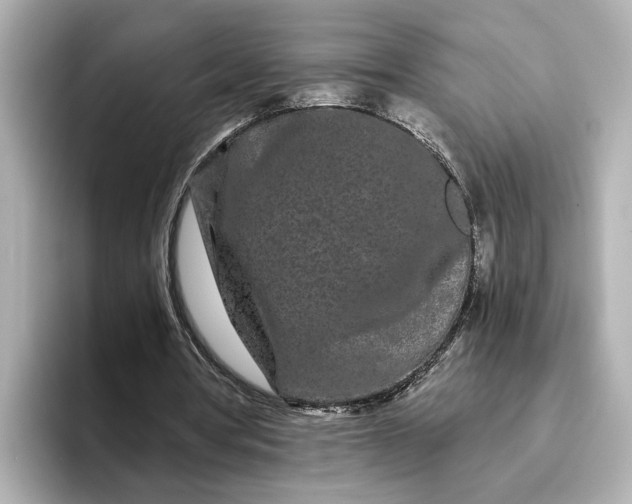 X0000095130386200712211334