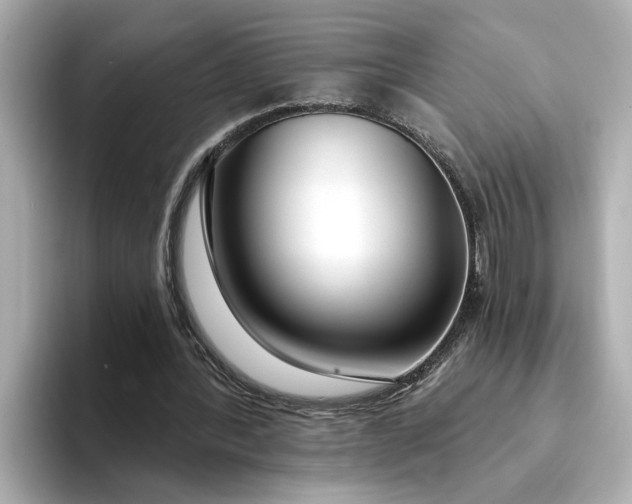 X0000095130388200712211334