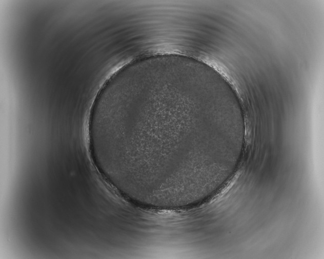 X0000095130390200712211334