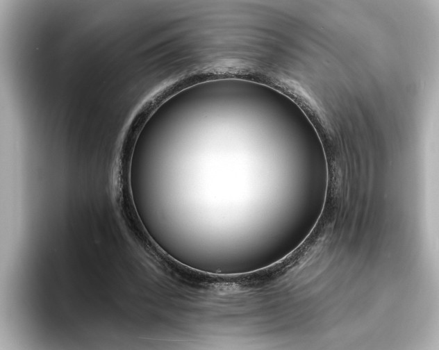 X0000095130392200712211334