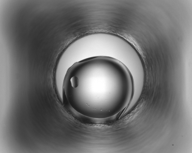 X0000095130393200712211334