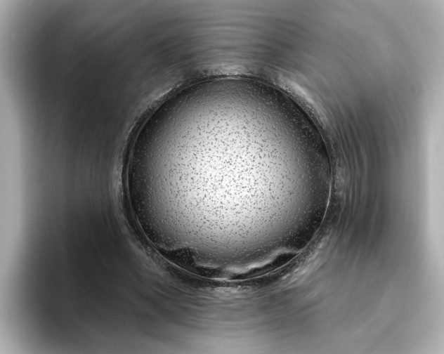 X0000095130394200712211334