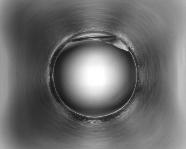 X0000095130395200712211334