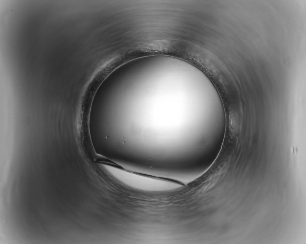 X0000095130396200712211334