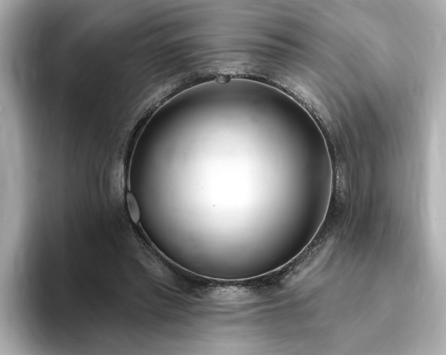 X0000095130397200712211334