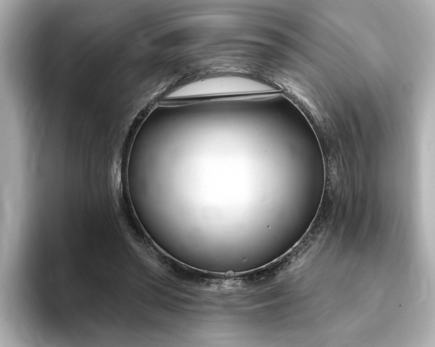 X0000095130398200712211334