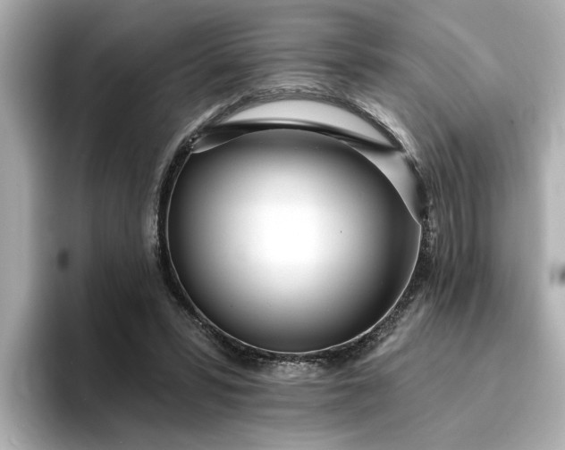 X0000095130399200712211334