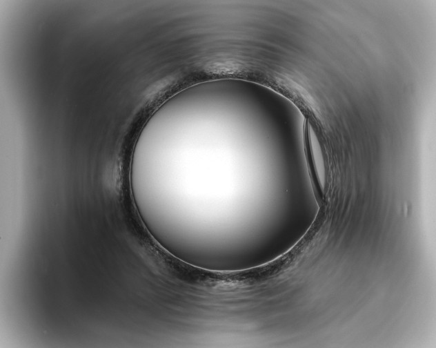 X0000095130400200712211334