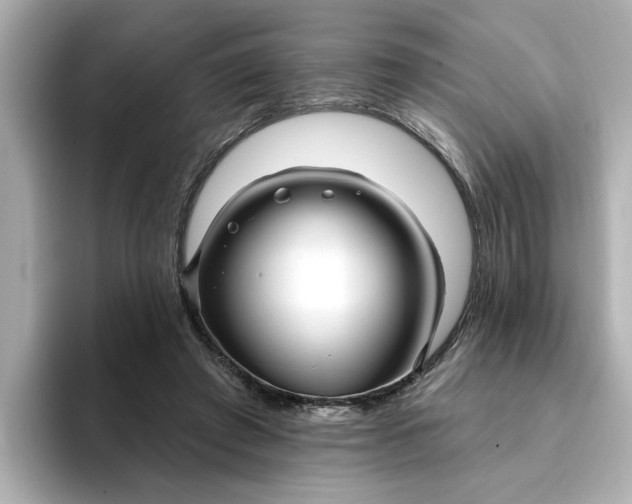 X0000095130401200712211334