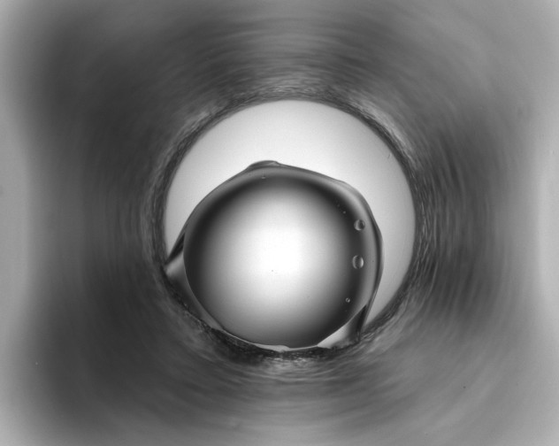 X0000095130403200712211334