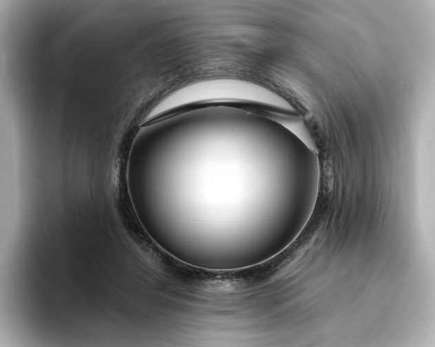 X0000095130404200712211334