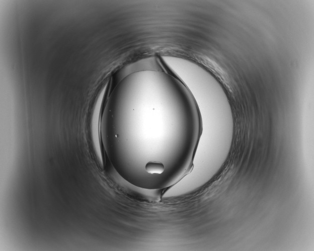 X0000095130405200712211334