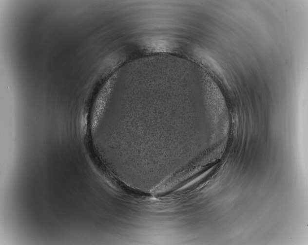 X0000095130406200712211334