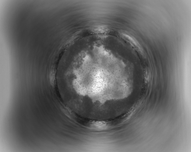 X0000095130409200712211334