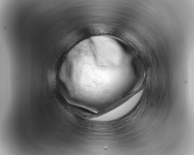 X0000095130410200712211334