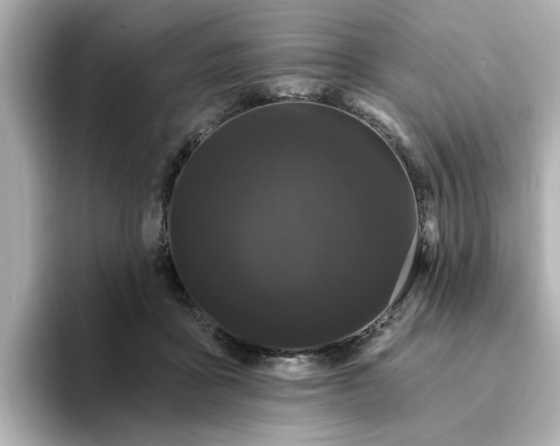 X0000095130411200712211334