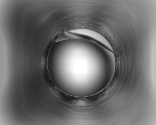 X0000095130412200712211334