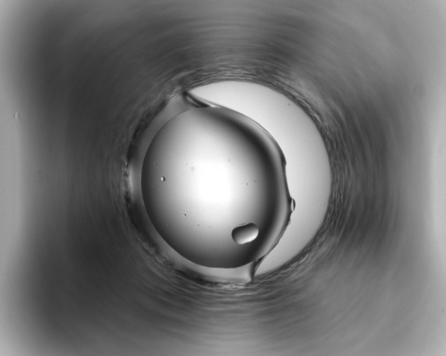 X0000095130413200712211334