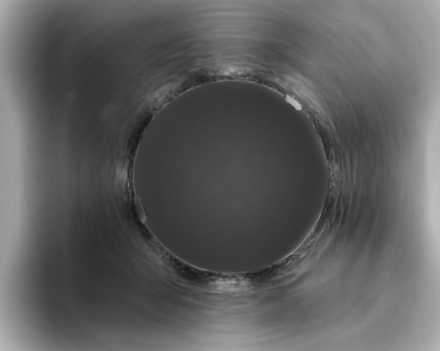 X0000095130415200712211334