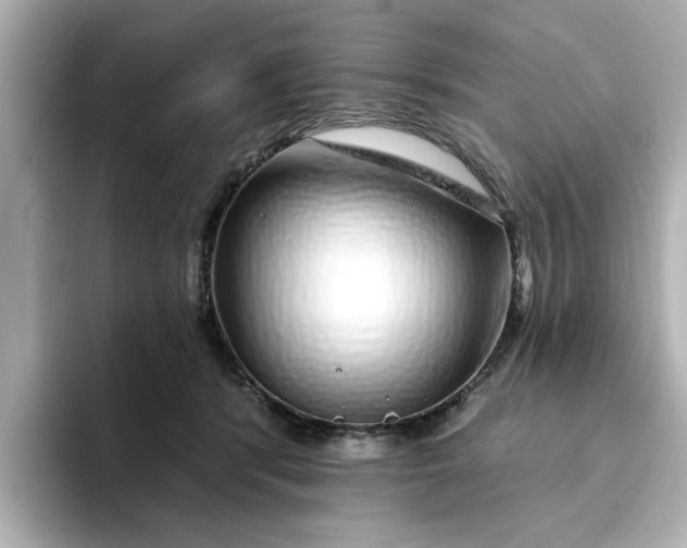 X0000095130416200712211334