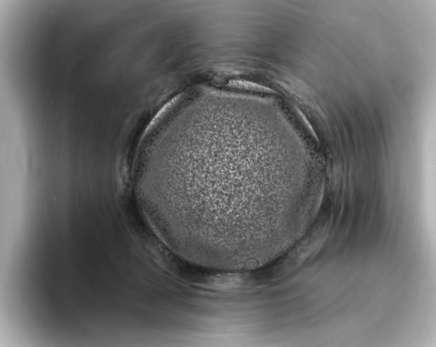 X0000095130418200712211334