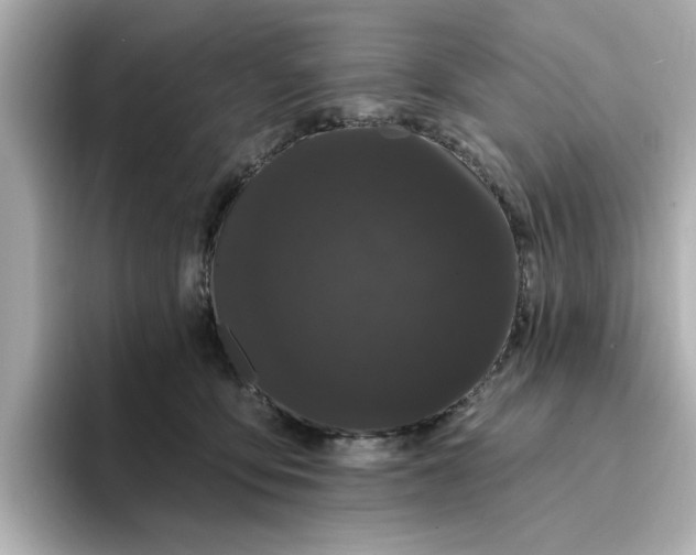 X0000095130419200712211334