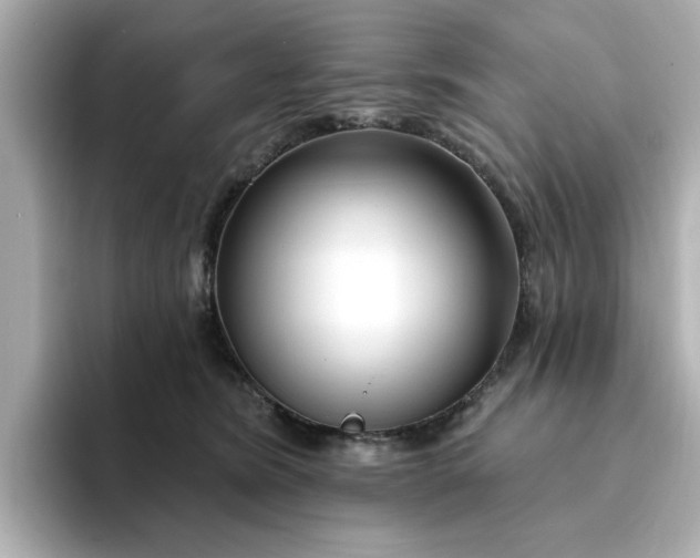 X0000095130420200712211334