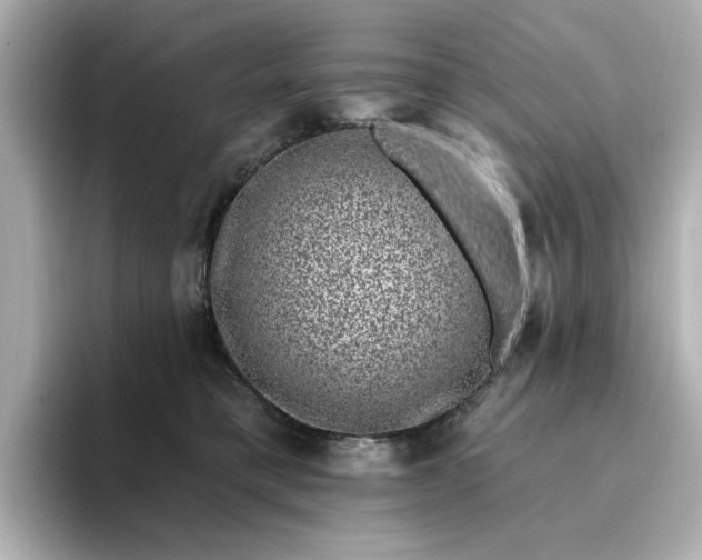 X0000095130421200712211334