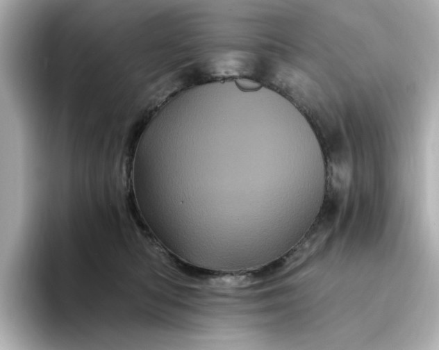 X0000095130422200712211334