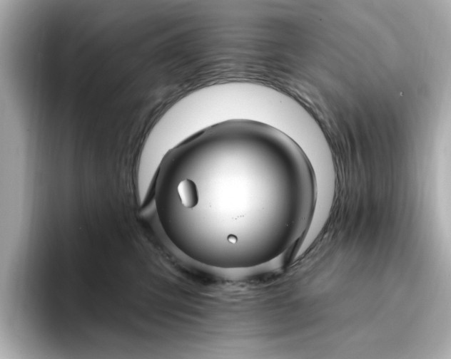 X0000095130423200712211334