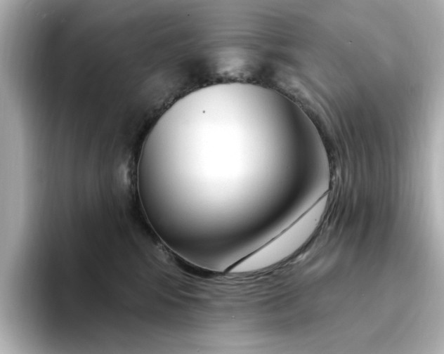 X0000095130424200712211334