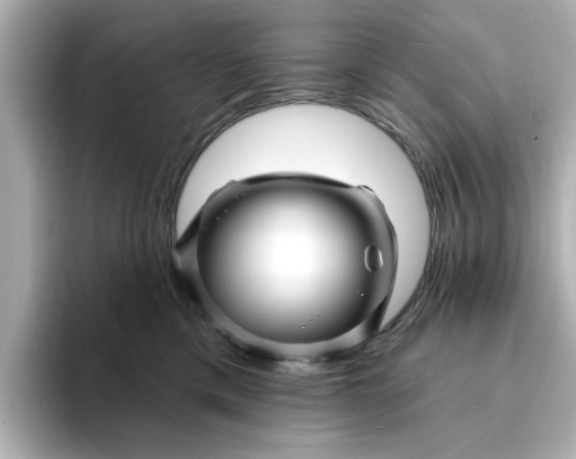 X0000095130425200712211334