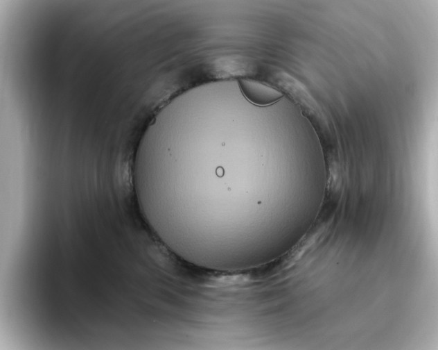 X0000095130426200712211334