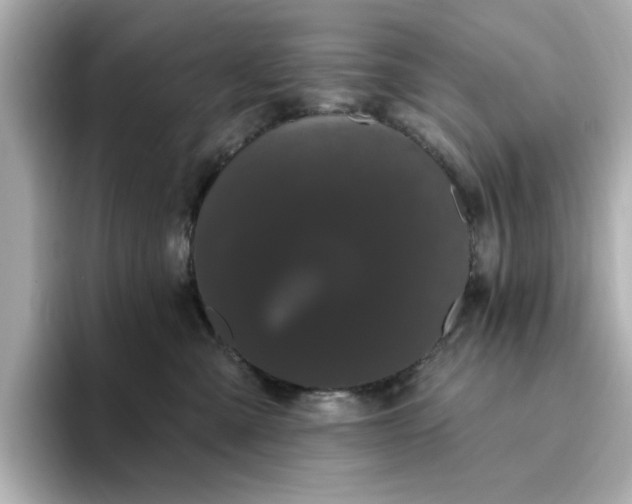 X0000095130427200712211333