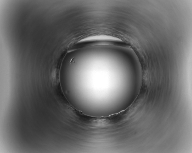 X0000095130428200712211333