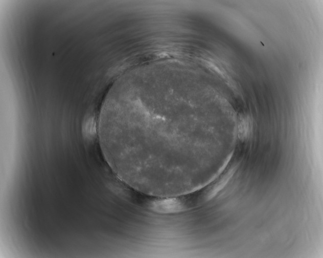 X0000095130431200712211333