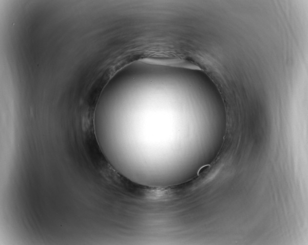 X0000095130432200712211333