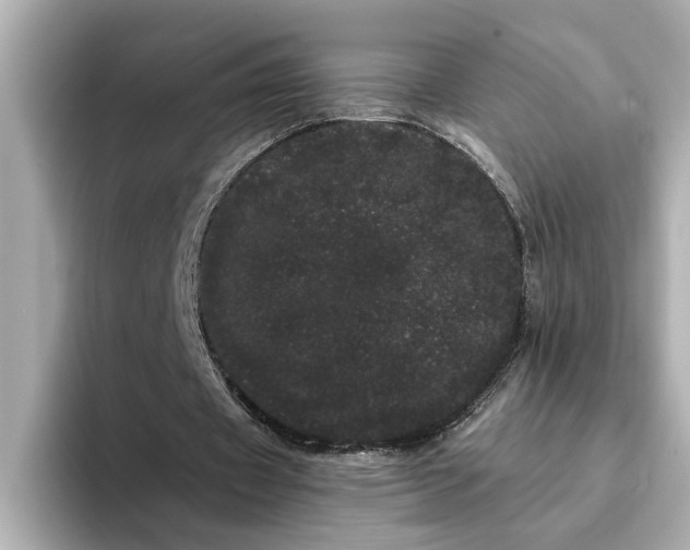 X0000095130433200712211333