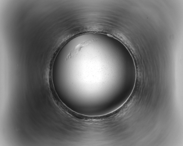 X0000095130434200712211333