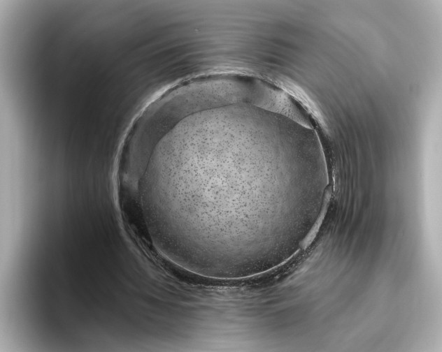 X0000095130436200712211333