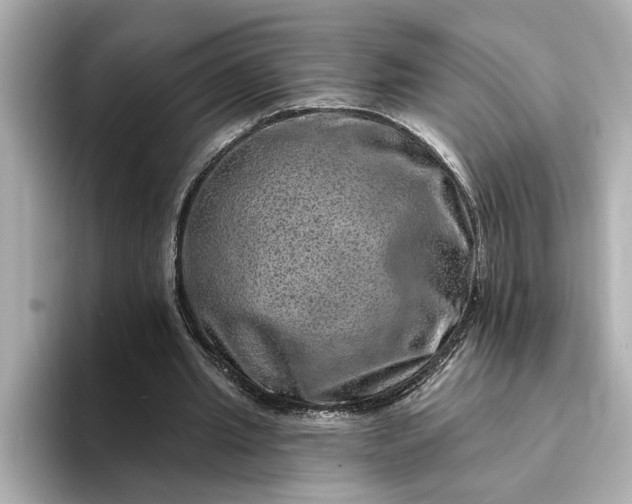 X0000095130437200712211333