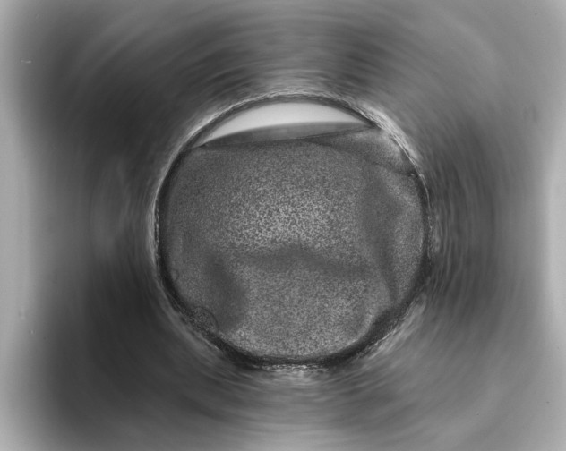 X0000095130439200712211333