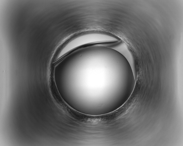 X0000095130440200712211333