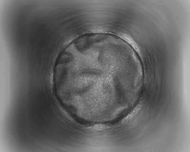 X0000095130441200712211333