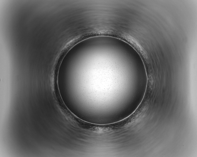 X0000095130442200712211333