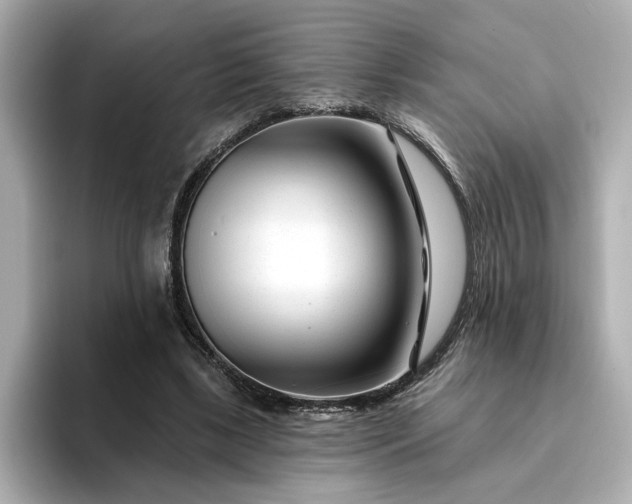 X0000095130443200712211333